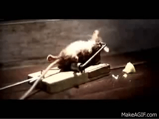 En linux lo que no te mata te hace mas fuerte rata